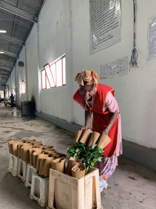 employee packing roses