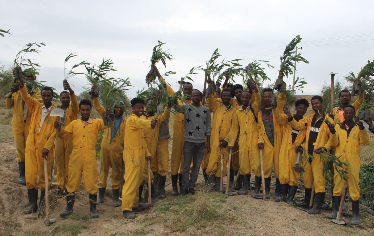 Green Legacy Campaign - Sher Ethiopia